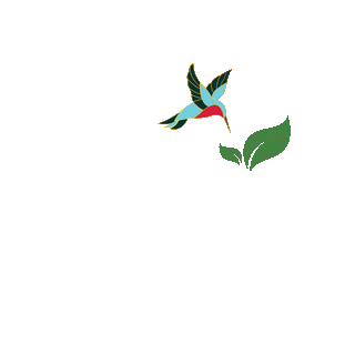 Tonicc