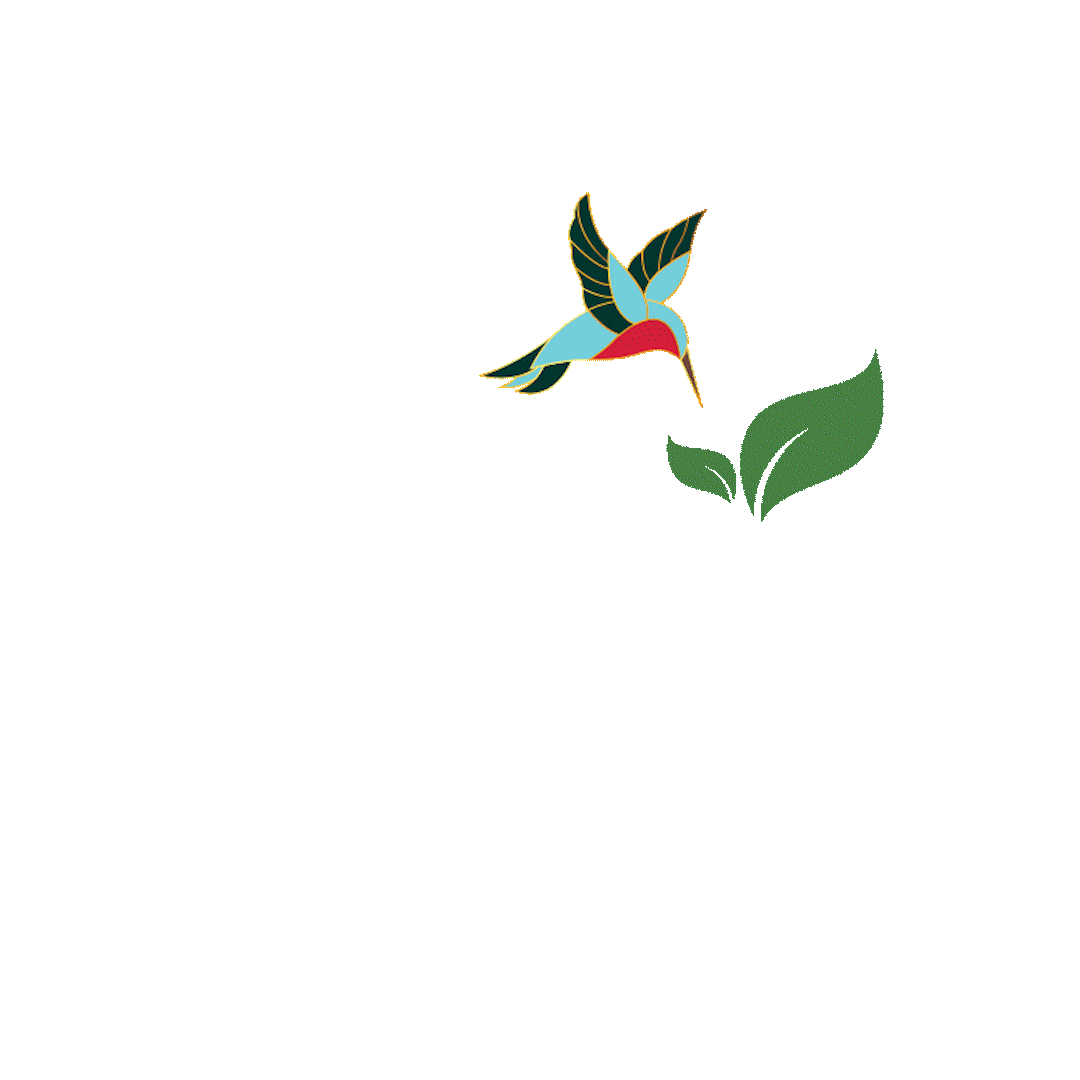 Tonicc