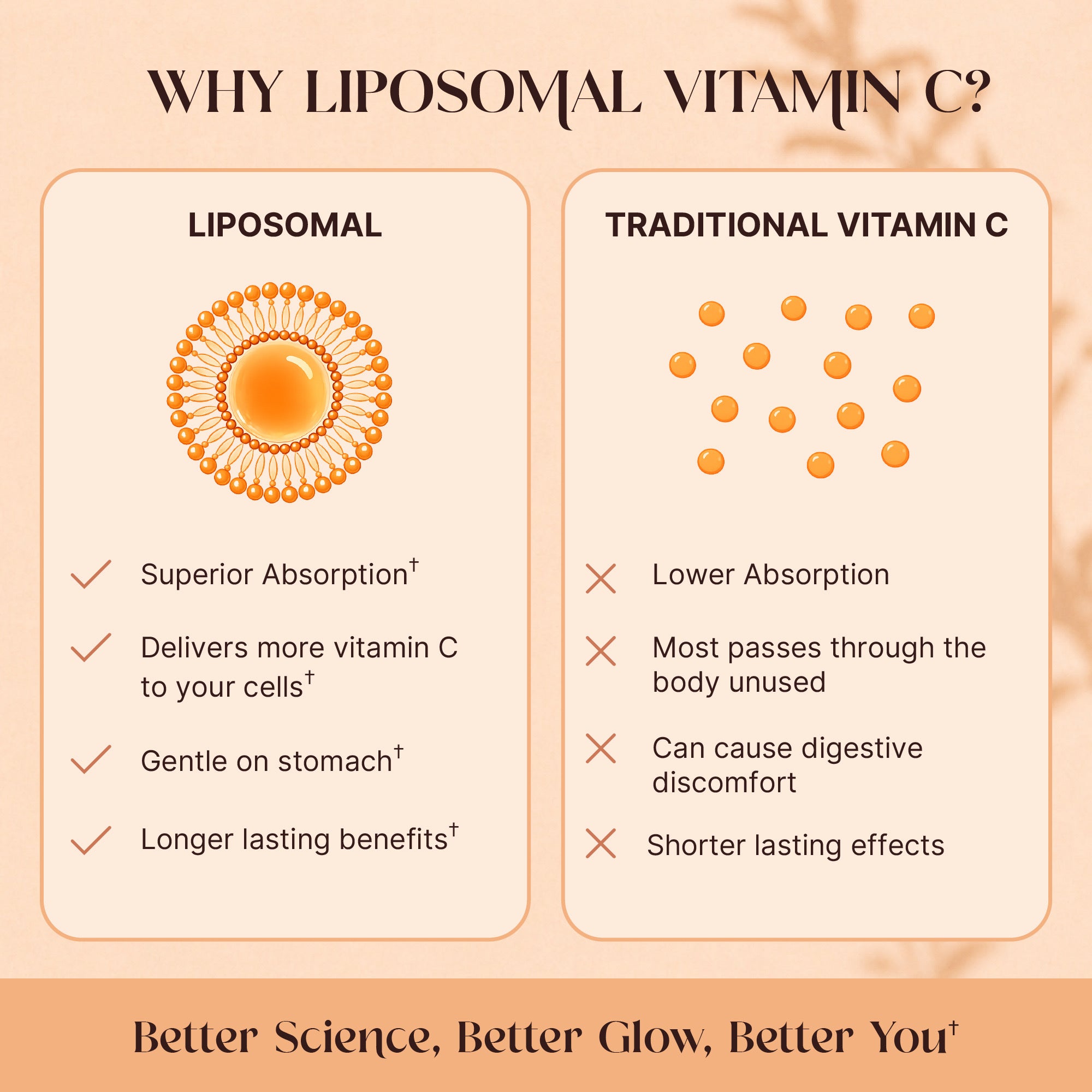 Why liposomal Vitamin C comparison chart showing superior absorption versus traditional Vitamin C, delivers more to cells, gentle on stomach, longer lasting benefits