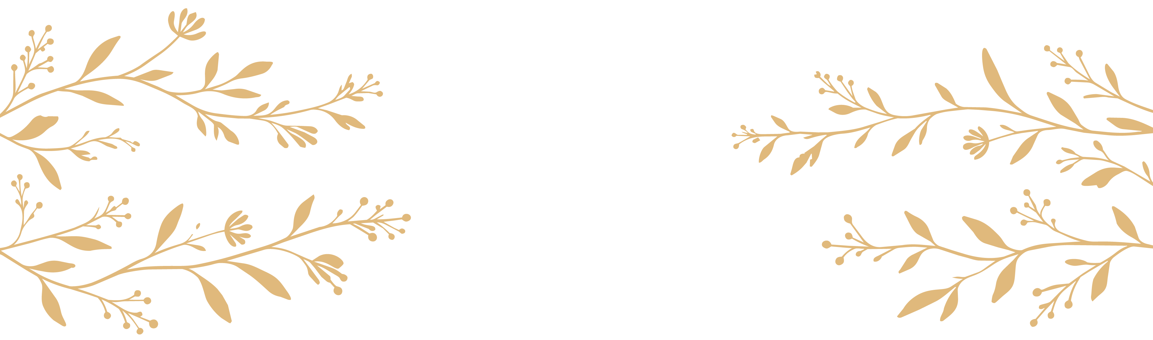 tonicc_floral_background_blog_4000x1180_1.2.png